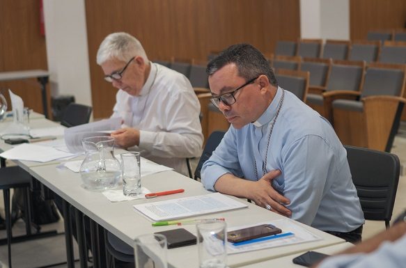 Texto das novas DGAE 2019/2023 buscará traduzir “sentimento” da Igreja no Brasil