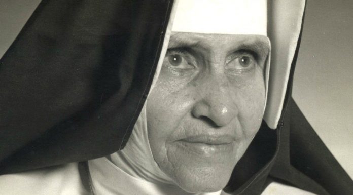 Canonização de Irmã Dulce e mais quatro beatos será no dia 13 de outubro