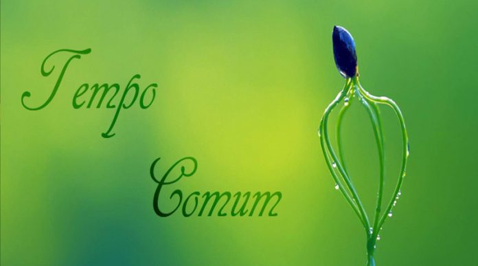 tempo-comum