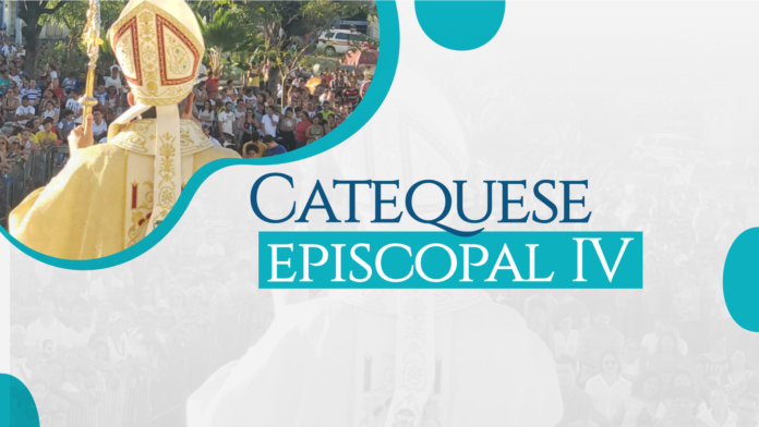 BANNER CAT EPIS 3