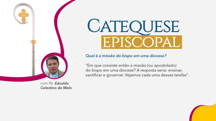 BANNER CAT EPIS