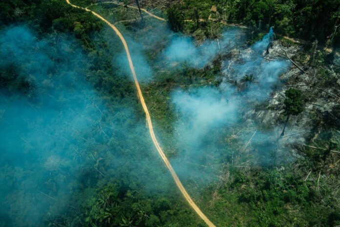 ti-ituna-itata-fabio-nascimento-greenpeace-2019-scaled-1.jpg